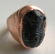 Trilobite Fossil Signet Style Ring