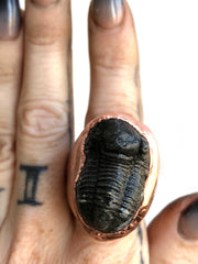 Trilobite Fossil Signet Style Ring